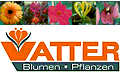 Vatter